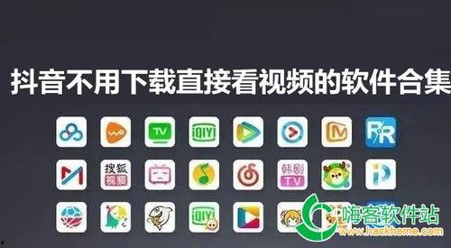 抖音最新软件爆料视频下载,一键下载热门视频，轻松收藏精彩瞬间